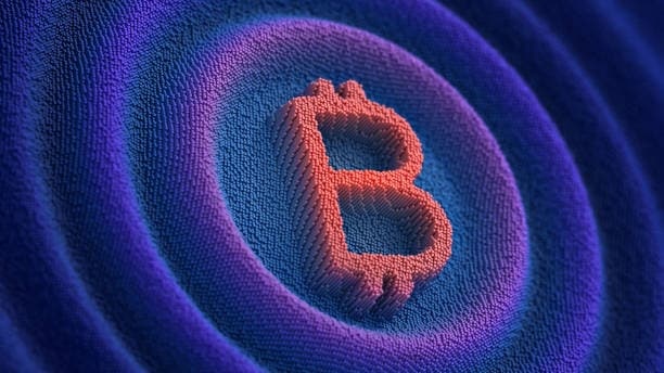 Who Owns the Most Bitcoin in the Global Crypto Market?